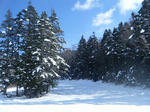 DSCF0537.jpg
