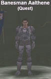 kithicor-9-1.jpg