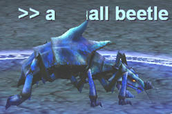 Beetle_Bashing-02.jpg