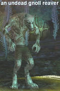 Dont_Fear_the_Destroyer-11.jpg