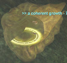Give_my_creation-2.jpg