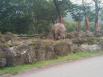 IMAGE_013.jpg