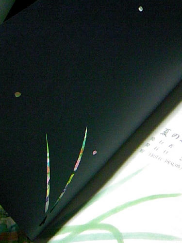TS3I0022.jpg