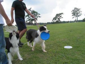 IMG_2386_1.JPG