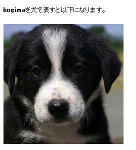 dogbunseki.JPG