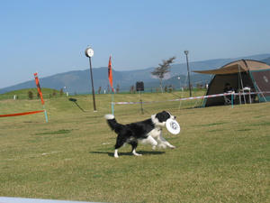 IMG_2416.JPG