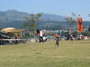 IMG_2435.JPG