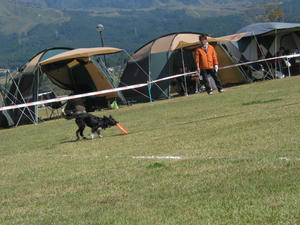 IMG_2441.JPG