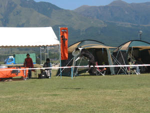 IMG_2446.JPG