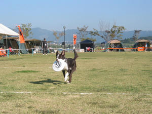 IMG_2466.JPG