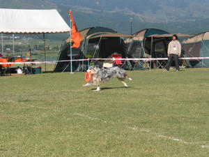 IMG_2458.JPG