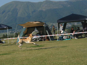 IMG_2473.JPG
