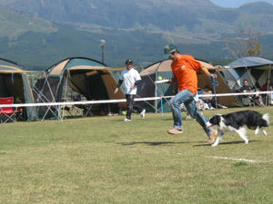 IMG_2450.JPG