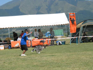 IMG_2451.JPG