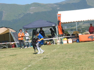 IMG_2452.JPG