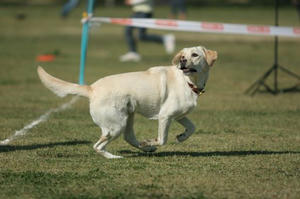 IMG_3647_512.jpg