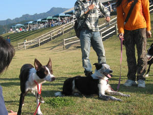 IMG_2481.JPG