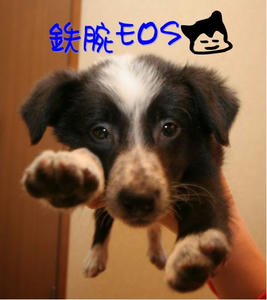 鉄腕ＥＯＳ