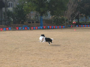 IMG_4523.JPG