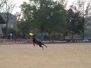 IMG_4557.JPG