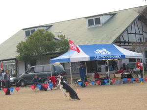 IMG_4554.JPG