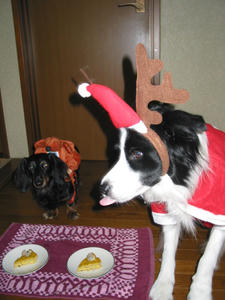 IMG_4570.JPG