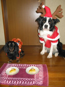 IMG_4572.JPG