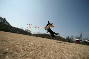 00777_640.jpg