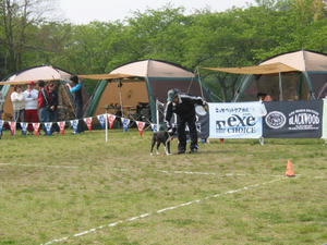 IMG_4644.JPG