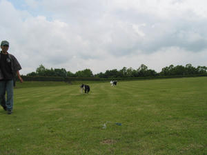 IMG_9381.JPG