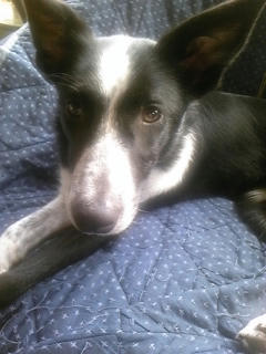 080903_125701.jpg