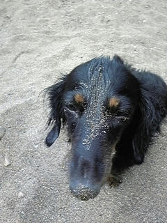 080907_115133.jpg