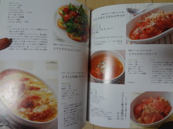 料理本レビュー　野菜ひとつのおかず