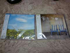 fb02817c.jpg