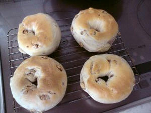 bagle2.jpg