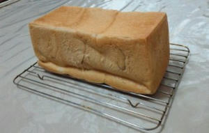 pan3.jpg