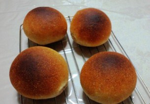 pan11-1