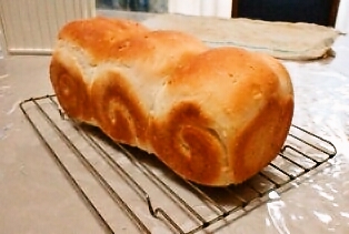 pan14