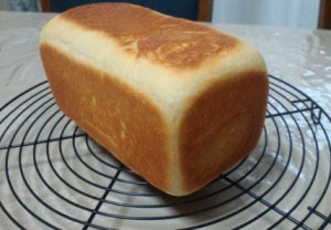 pan15-1