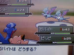 ポケットモンスタープラチナ １１ ギンガだんそうこ ノモセシティ ゲームのこと