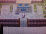 ポケットモンスタープラチナ １１ ギンガだんそうこ ノモセシティ ゲームのこと