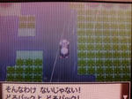 ポケットモンスタープラチナ １２ ノモセシティ ポケモン屋敷 ゲームのこと