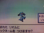ポケットモンスタープラチナ １５ ミオシティ ゲームのこと
