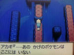 yabureta_4.jpg
