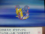 Giratina_3.jpg