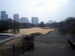 CA380001.jpg