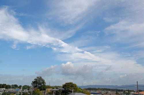 DSC_8432.jpg