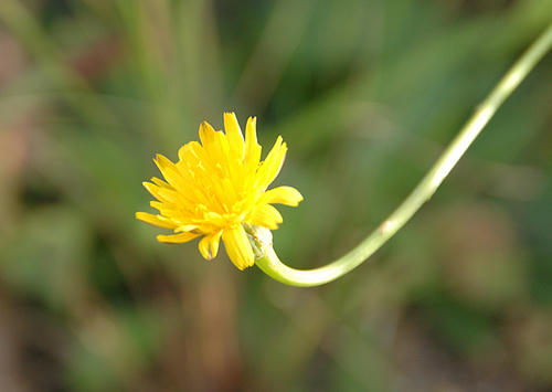 DSC_8626.jpg