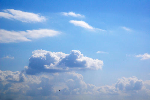 d6f54c0d.jpg
