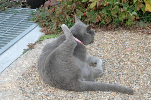 DSC_8951.jpg